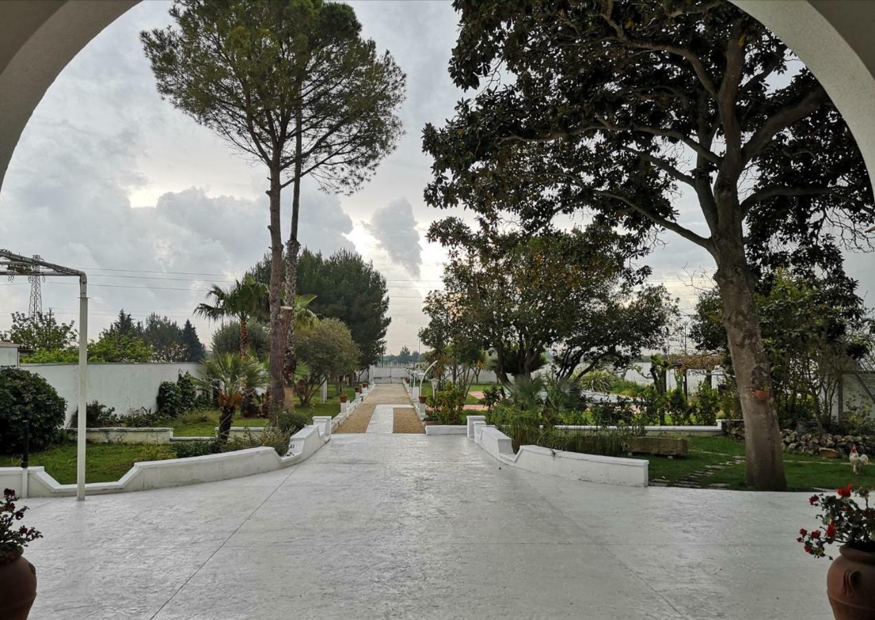Borgo Fiore Country House サリーチェ・サレンティーノ エクステリア 写真